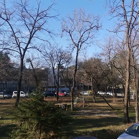 Stadion